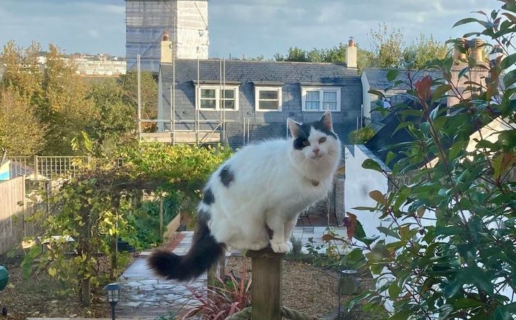 a427fc502cad913f7d4b13e42f