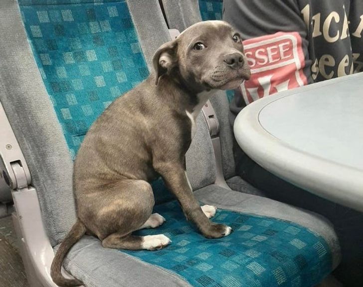 a42ab751f7827ed22067e78ee5