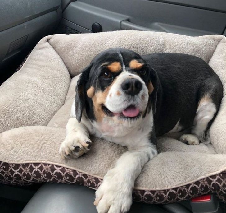 a435375be087e00072d23b49ca