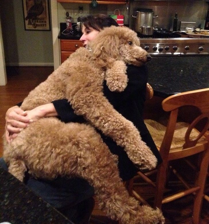 a436995ab787cde3e0554e0e2c