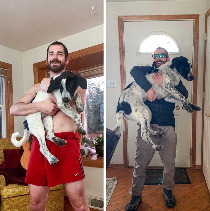 a43ede5d10b4b2b6cf5db5ba15