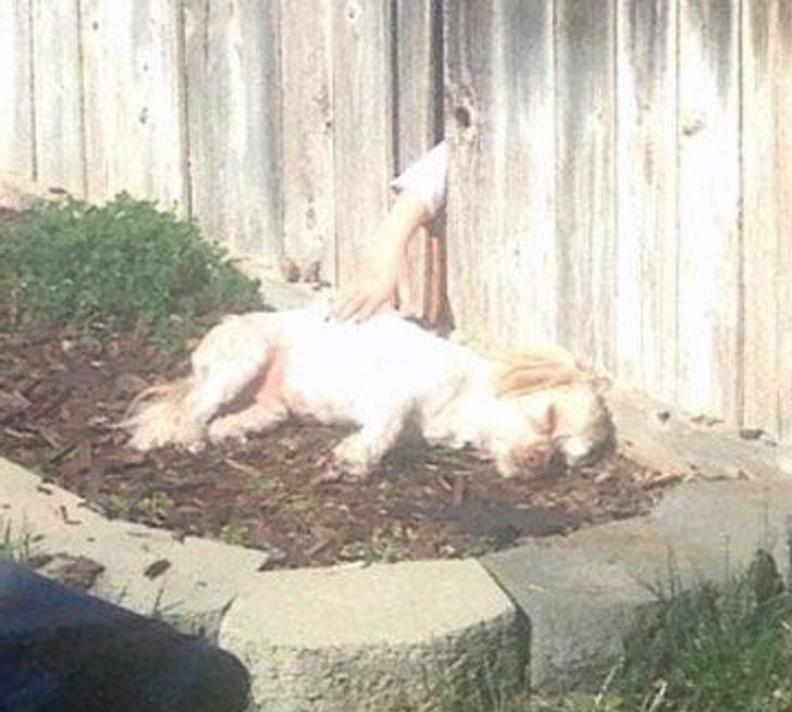 a44da4542ebd35cf004a332978