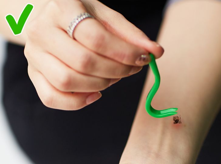 a4566959dd96eb819e7b786993 a4566959dd96eb819e7b786993