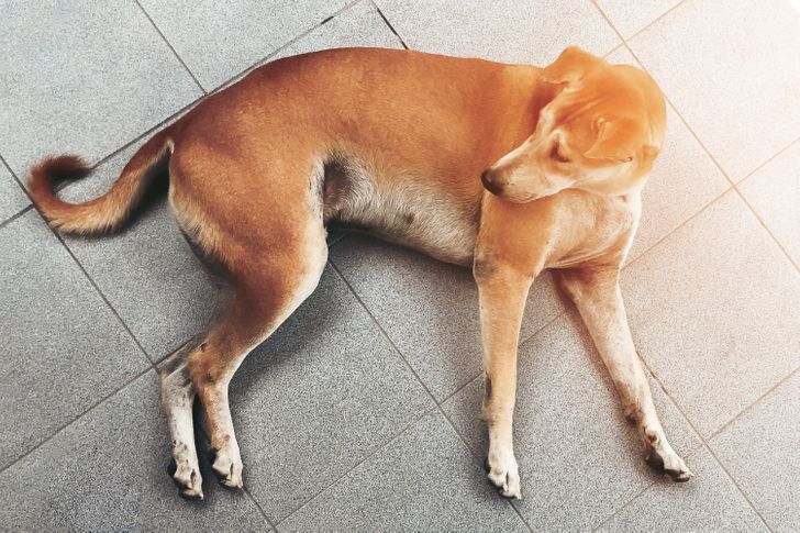 a4581153b78afc0f18834be00a