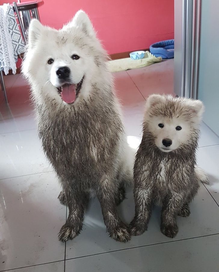 a459cc53008178570aae9283f0