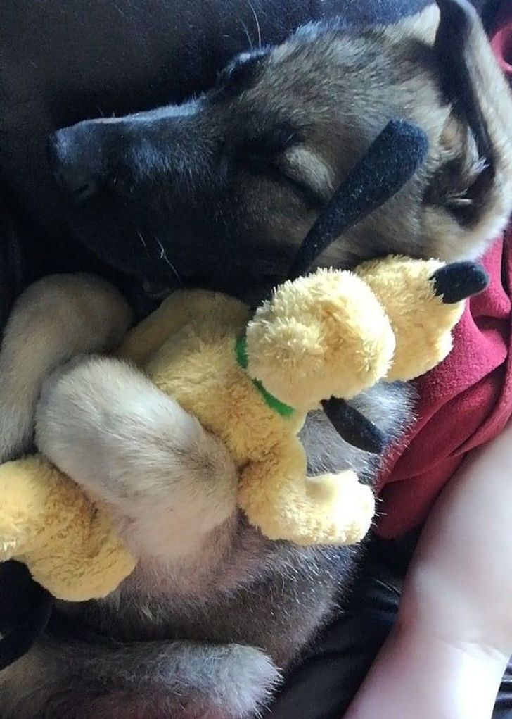 a45a1e5d2db0a76dda9dddf41c