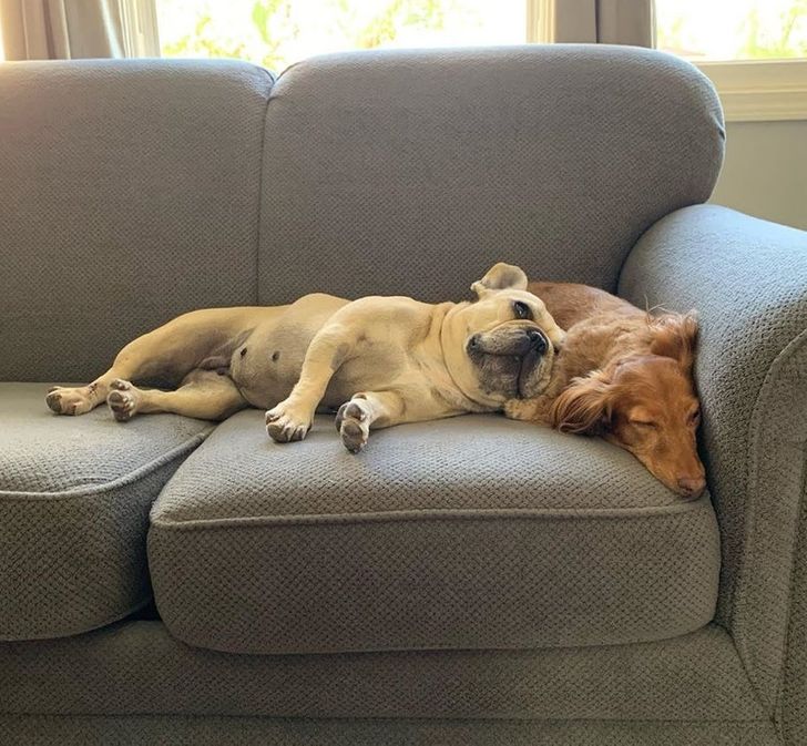 a463c35280800061c8fbd94535