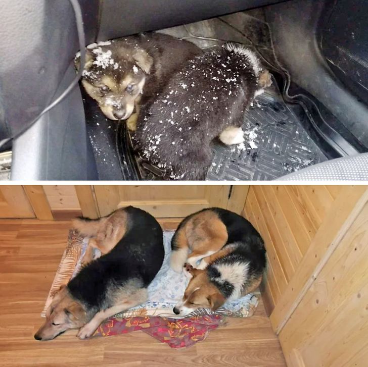 a466c1511698ccf2084295cac6