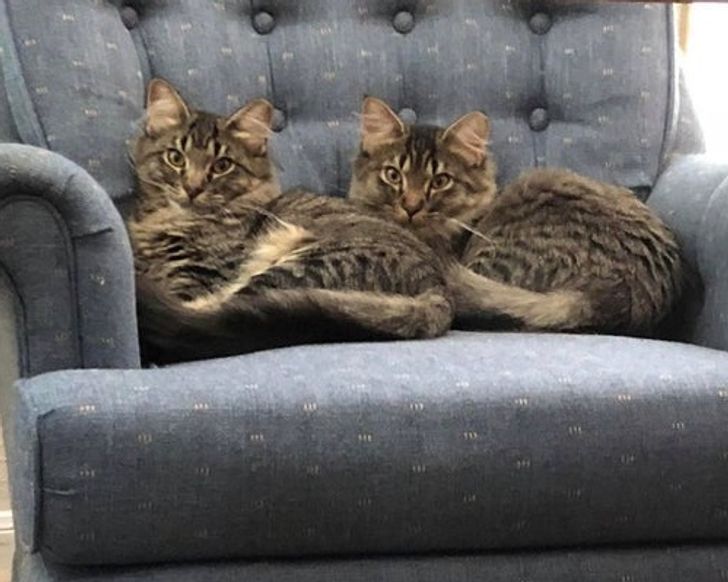 a467b15453b40f9f836874f1c7