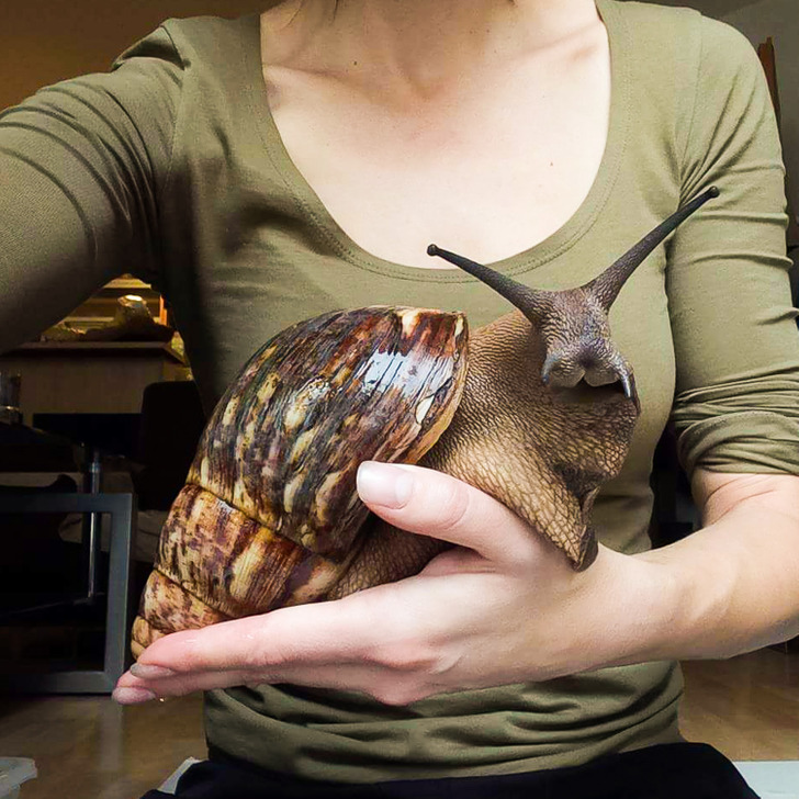 a46bcf58378fc58ef55214f4c5 a46bcf58378fc58ef55214f4c5