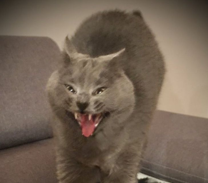 a46c6c59b9bded48700ae59547