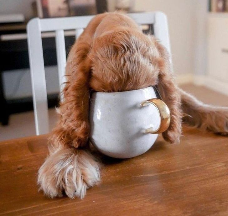 a46fb851c1adff0c638443f412