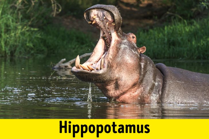 a470745fe0b61fa5d8c954bb26