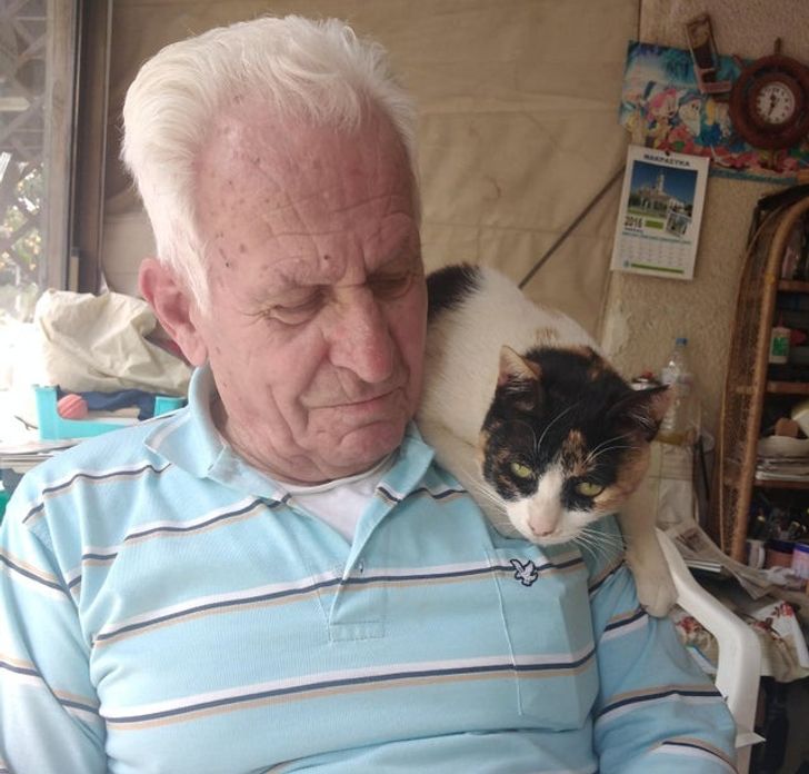 a470a85c26a05da07c7adea3ec