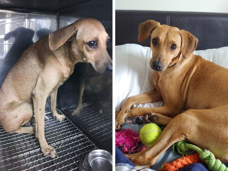 a472ea5fd0957e3f5597cbe2f2