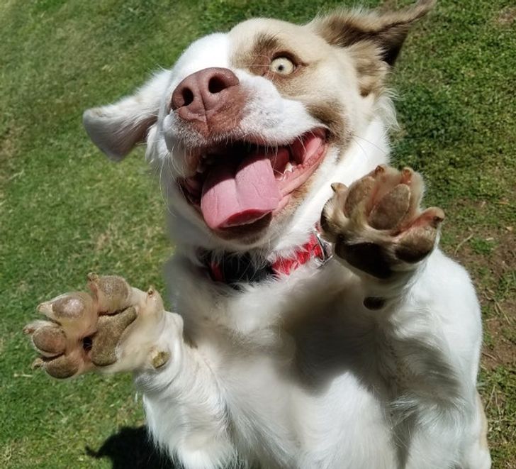 a47ebf5c4dade2927de3e255db