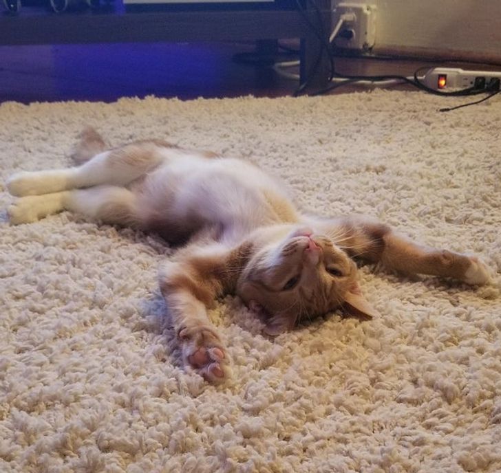 a486d05f5d8e1c66e3f6e0455e