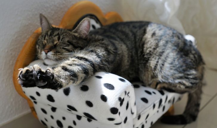 a48be85ca4bfbcdb75d7e9ca13