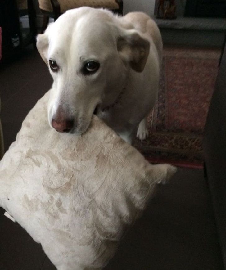 a4984c524d94d6d8471d09502d