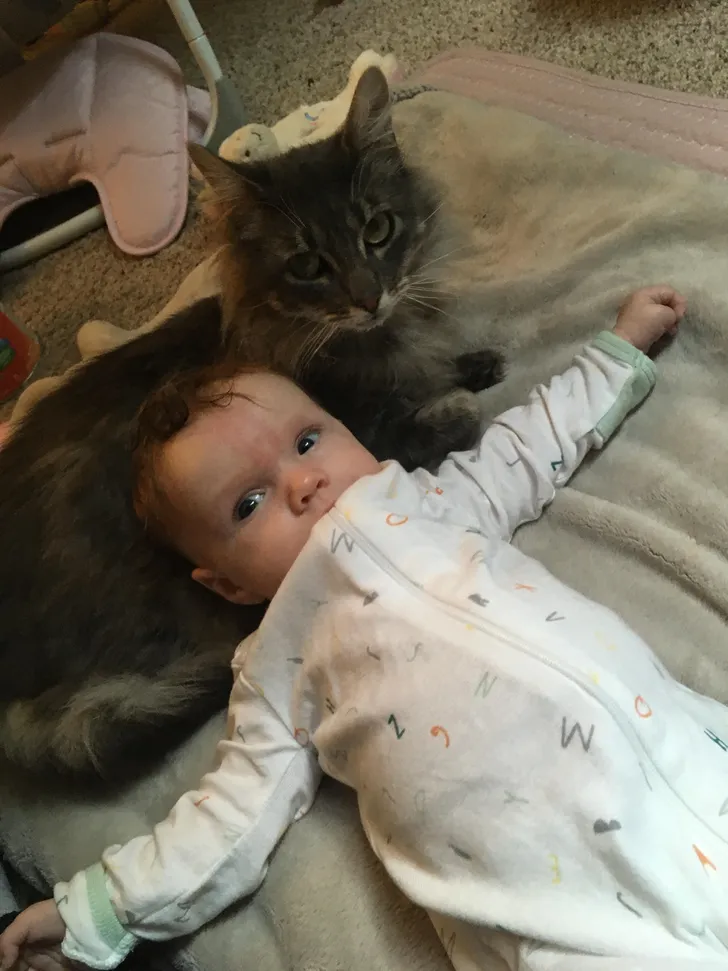 a4a70d5c9cb272726bbdd574f2