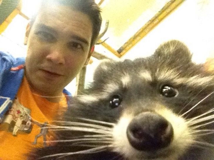 a4ad955c43bfb18ef545c1f5d6