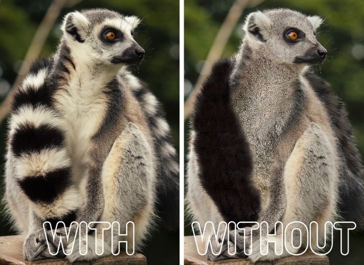 a4b06c542b895d174e6e2c627d