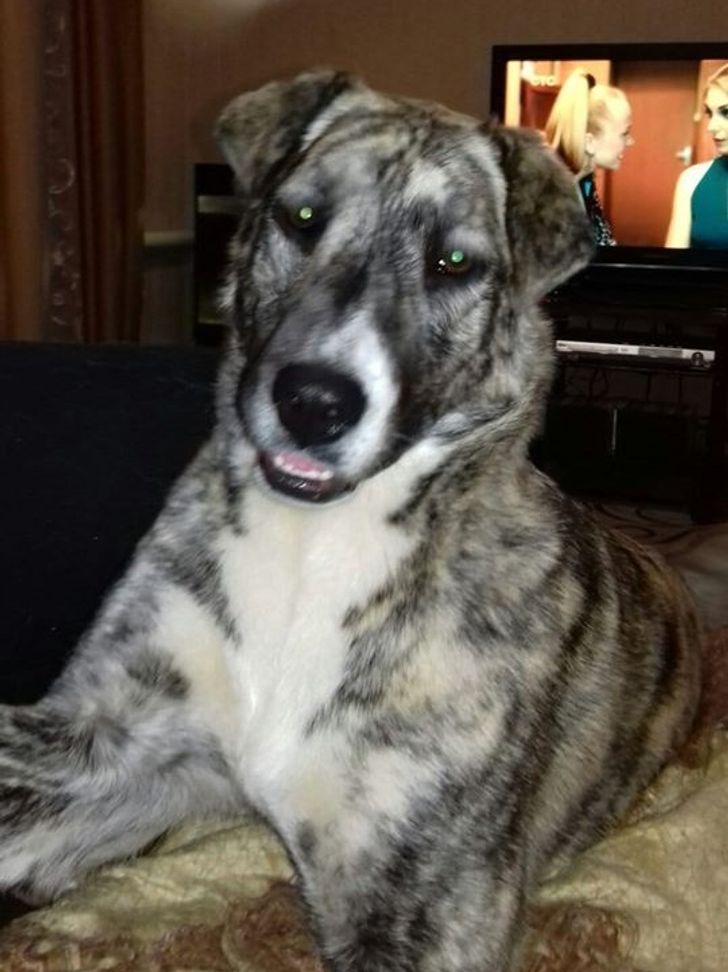 a4b0e652d99e38e5ff6833e163