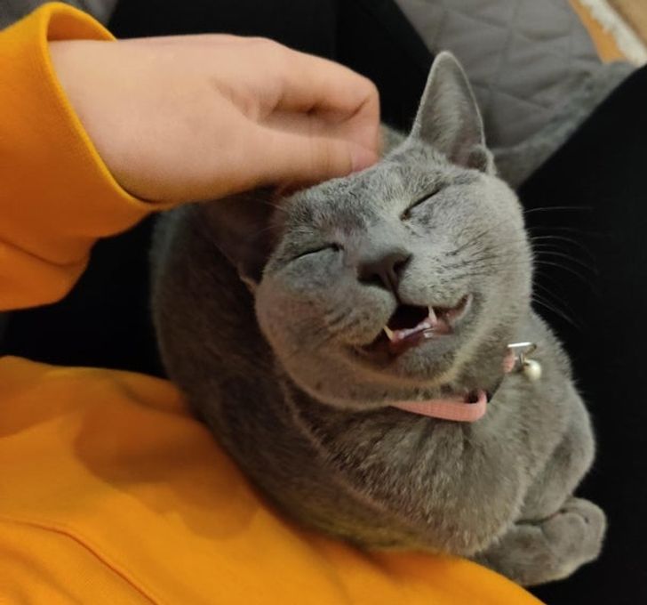 a4b34850e29fd4b94d7c5863e7