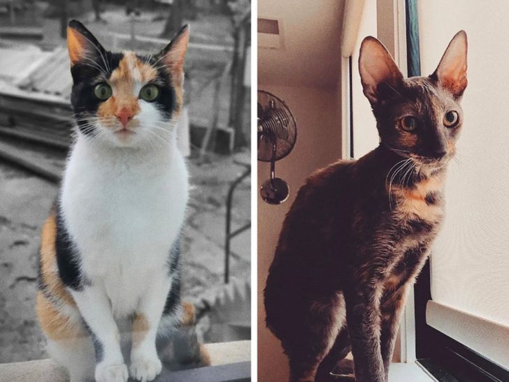 a4b92b577580c1dc5d8c1bab62