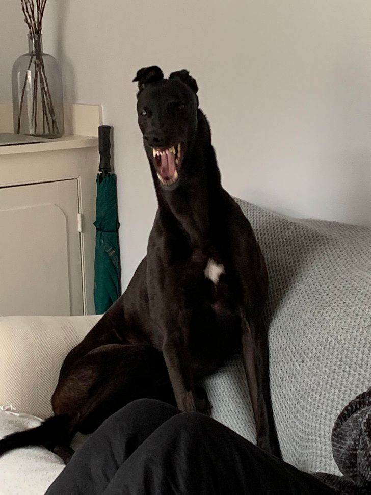 a4baa550aa8bd7839b546890d9 a4baa550aa8bd7839b546890d9