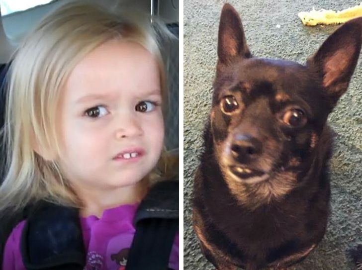 a4c31558f9bd5b5a7c9f90783d