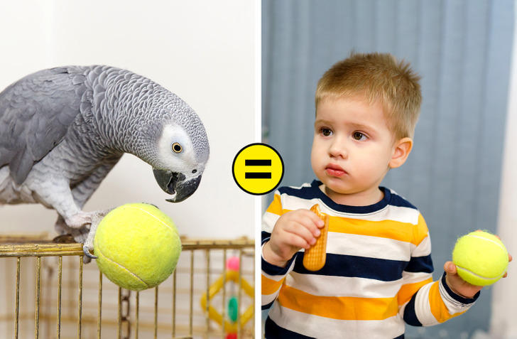 a4c6765e8f973290856cb7046f