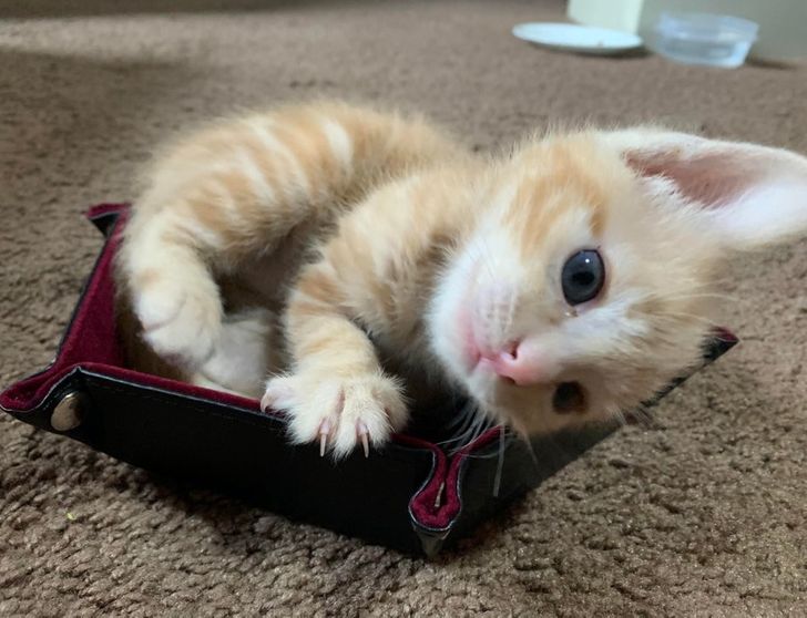 a4c92c59e98eb4327d567dd575