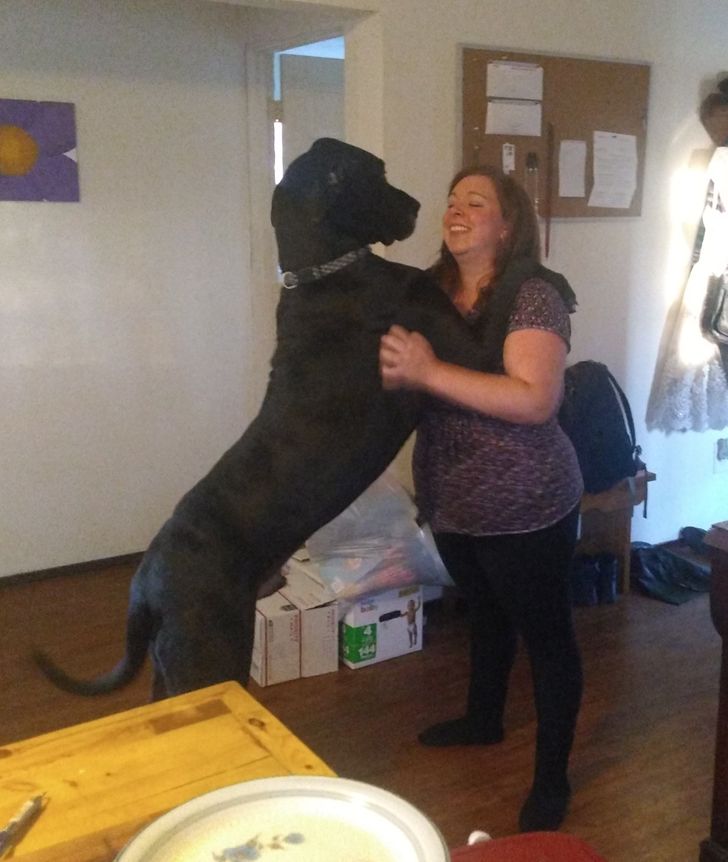 a4cdcf512184896a940299943f