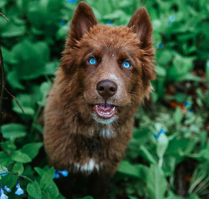 a4dedb51eda3274e6ab61b9606