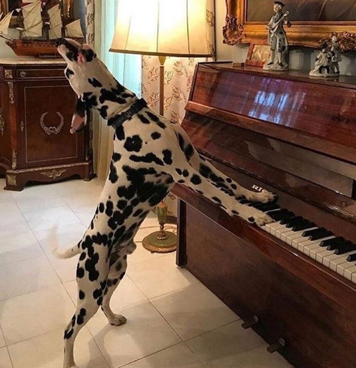 a4e415526ab8799933ea7aab8e