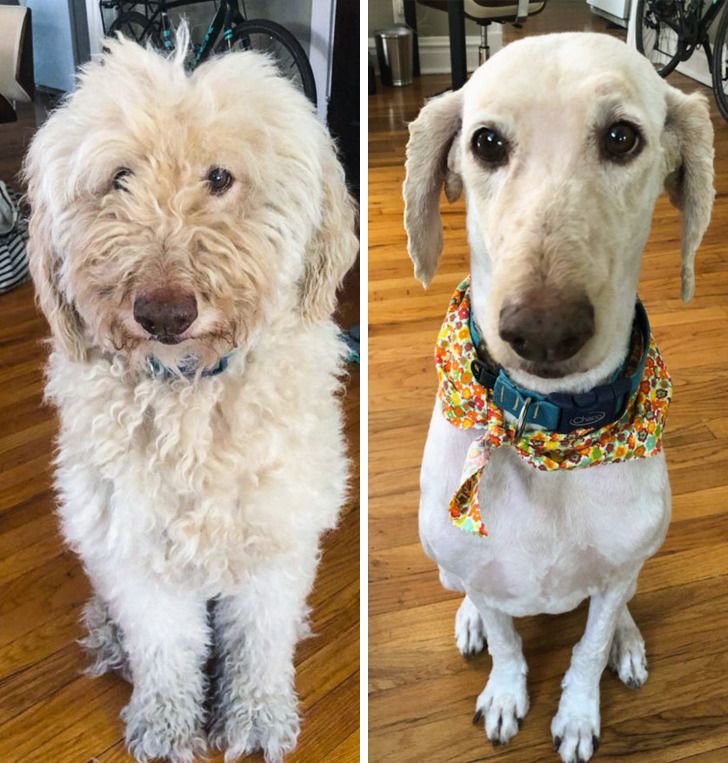 a4ea79579d95dccf19dd2f73b7