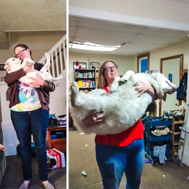 a4edc15985b519767bac2b539c