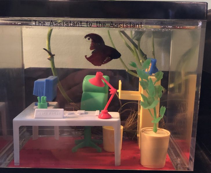 a4ee095adeacf0f3436d0b1b1f