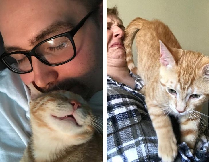 a4efb15c0795d6446b9a790fd5