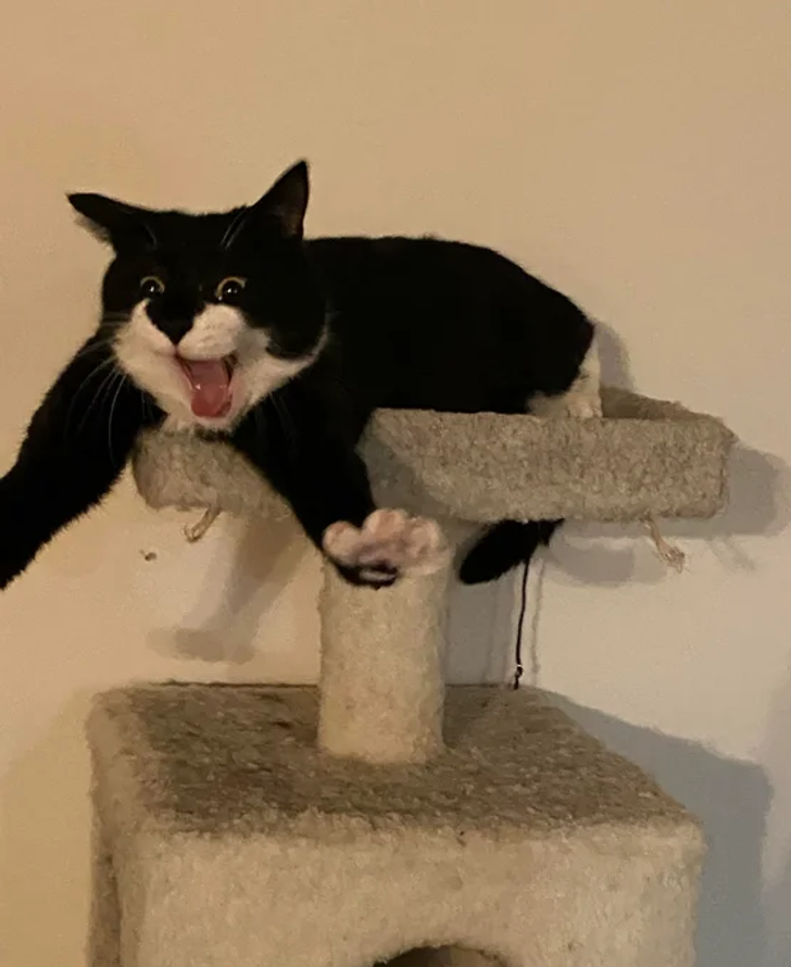 a4f3d05ed8b30a7f8ad59cf649