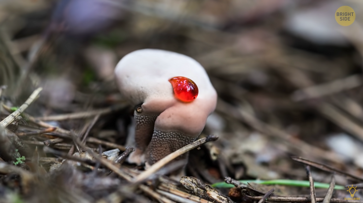 a4f3fb52e1bd8a941e261b002c