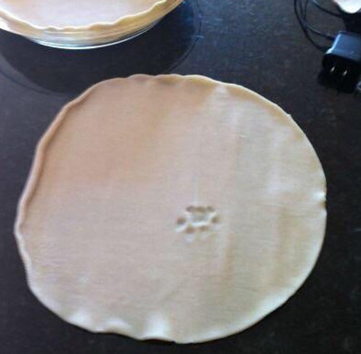 a4feee5d8892af68ee7c761afe a4feee5d8892af68ee7c761afe