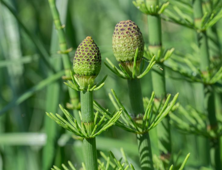 a501c0574da8b2ff421736a6cc