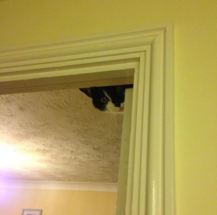 a508c65e35906cbe2594d6a703