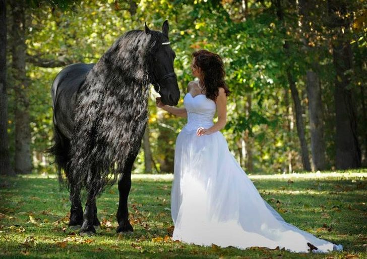 a51a3350ef92e305089e7c8475