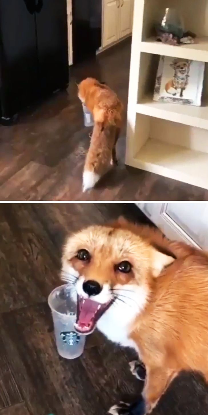 a51b0554458132a281304b3f68