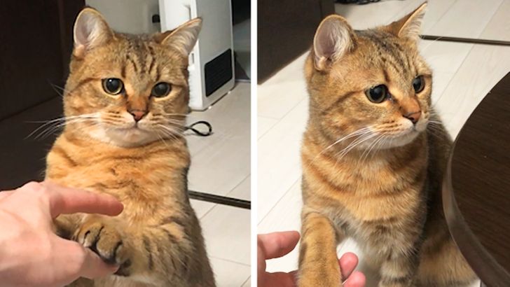 a51cd05263bd082d1cf2582715