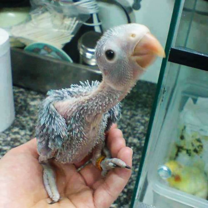 a51ff6599598c2e308fad052ad