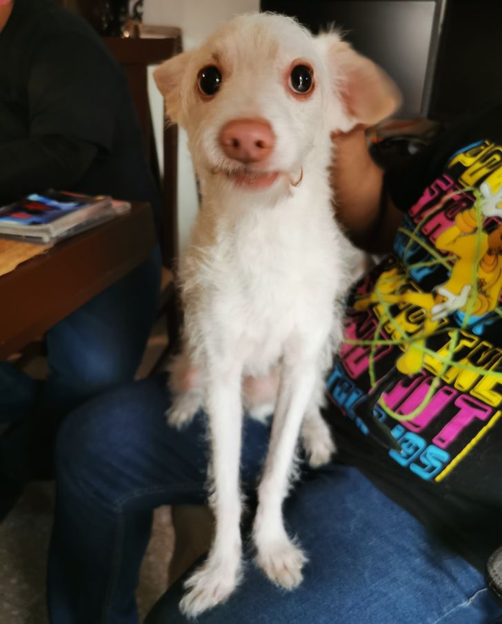 a524315b1183afe32f273e0c00